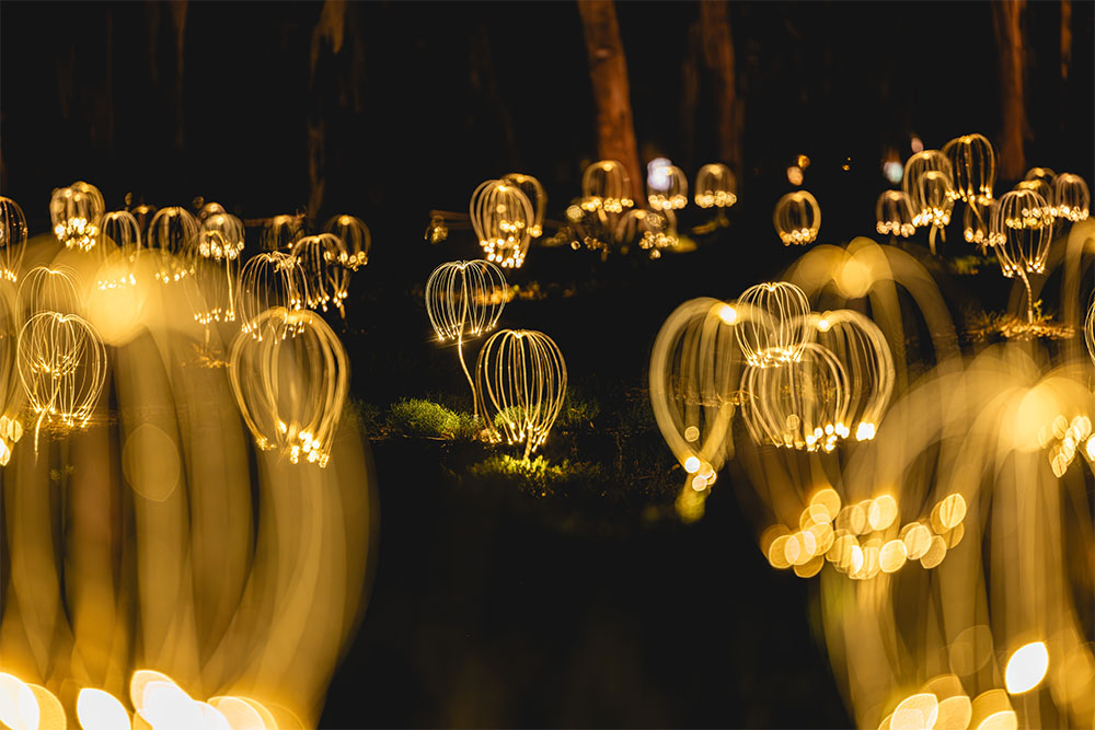 Mildura Show - Trail of Lights